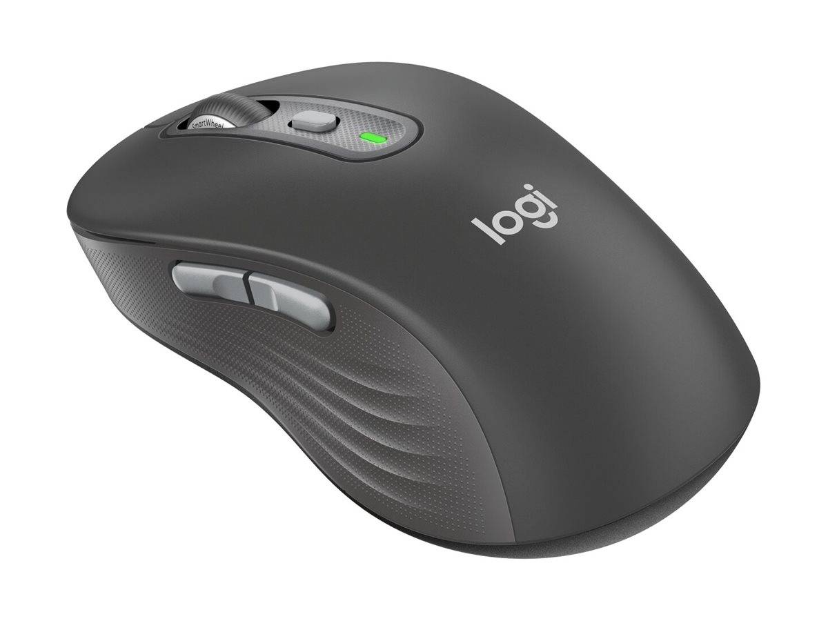 Logitech Signature M750 L - Maus - optisch - 6 Tasten