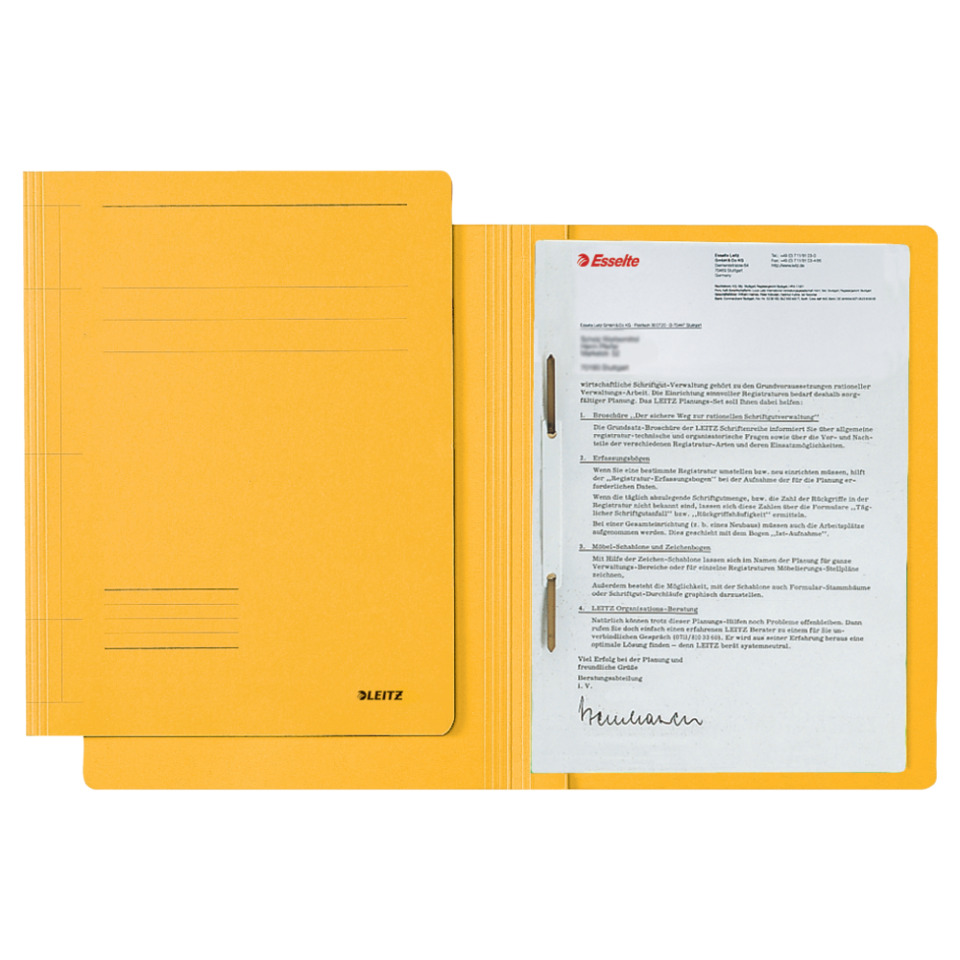 LEITZ 30030015 Karton 250g