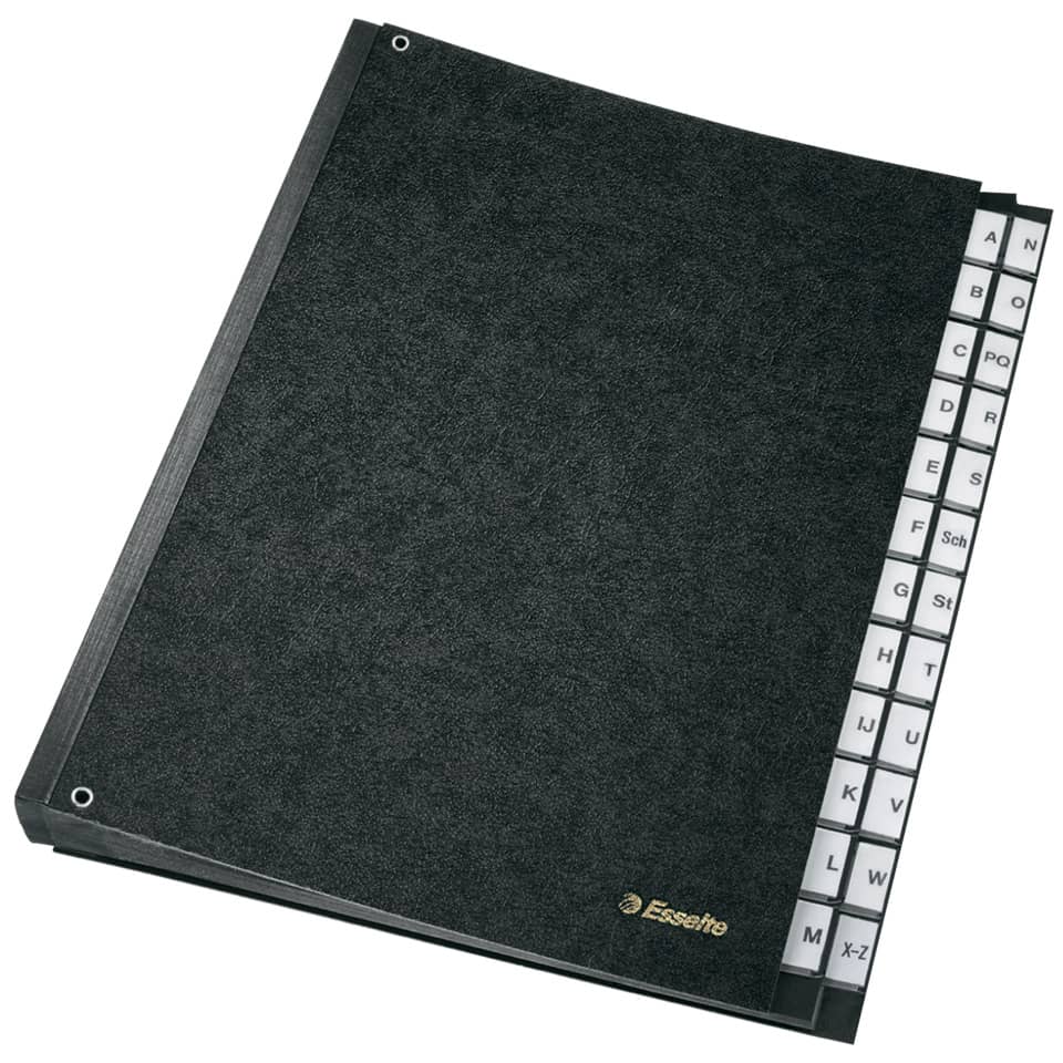 ESSELTE 629997 24 Fächer Hartpappe