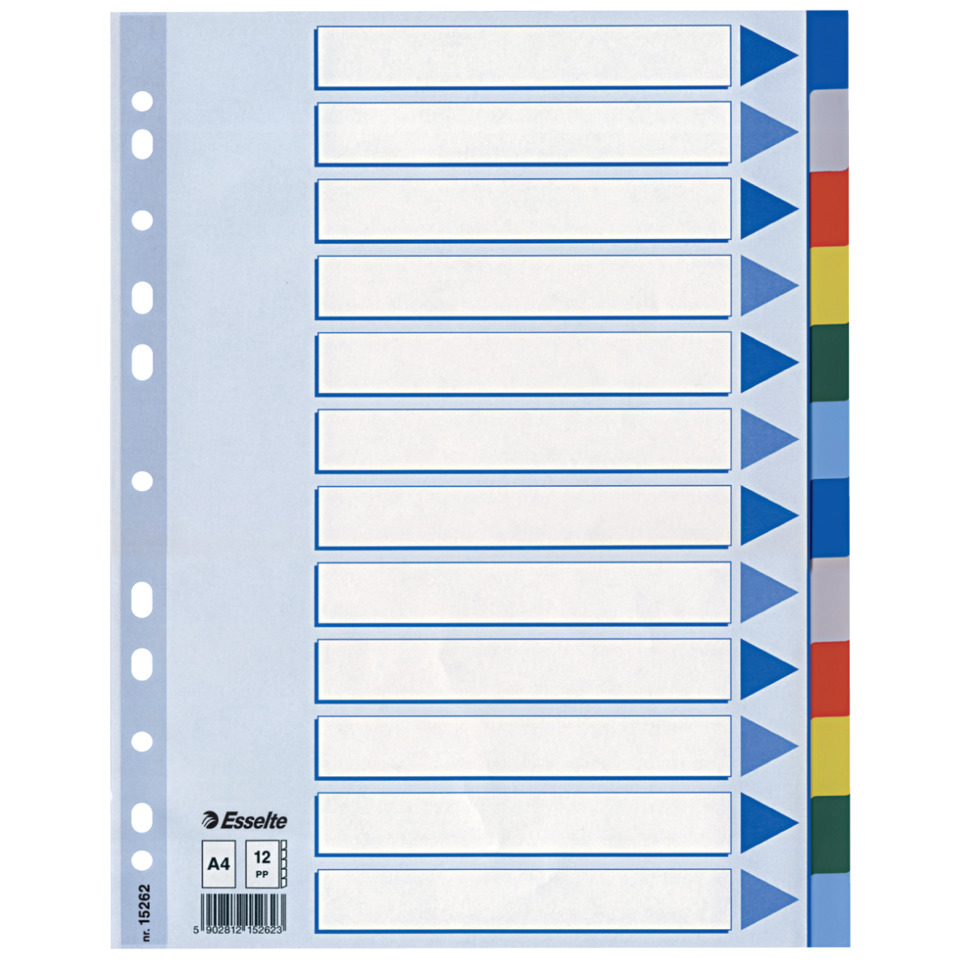 ESSELTE 15262 Plastik fbg.Tabs