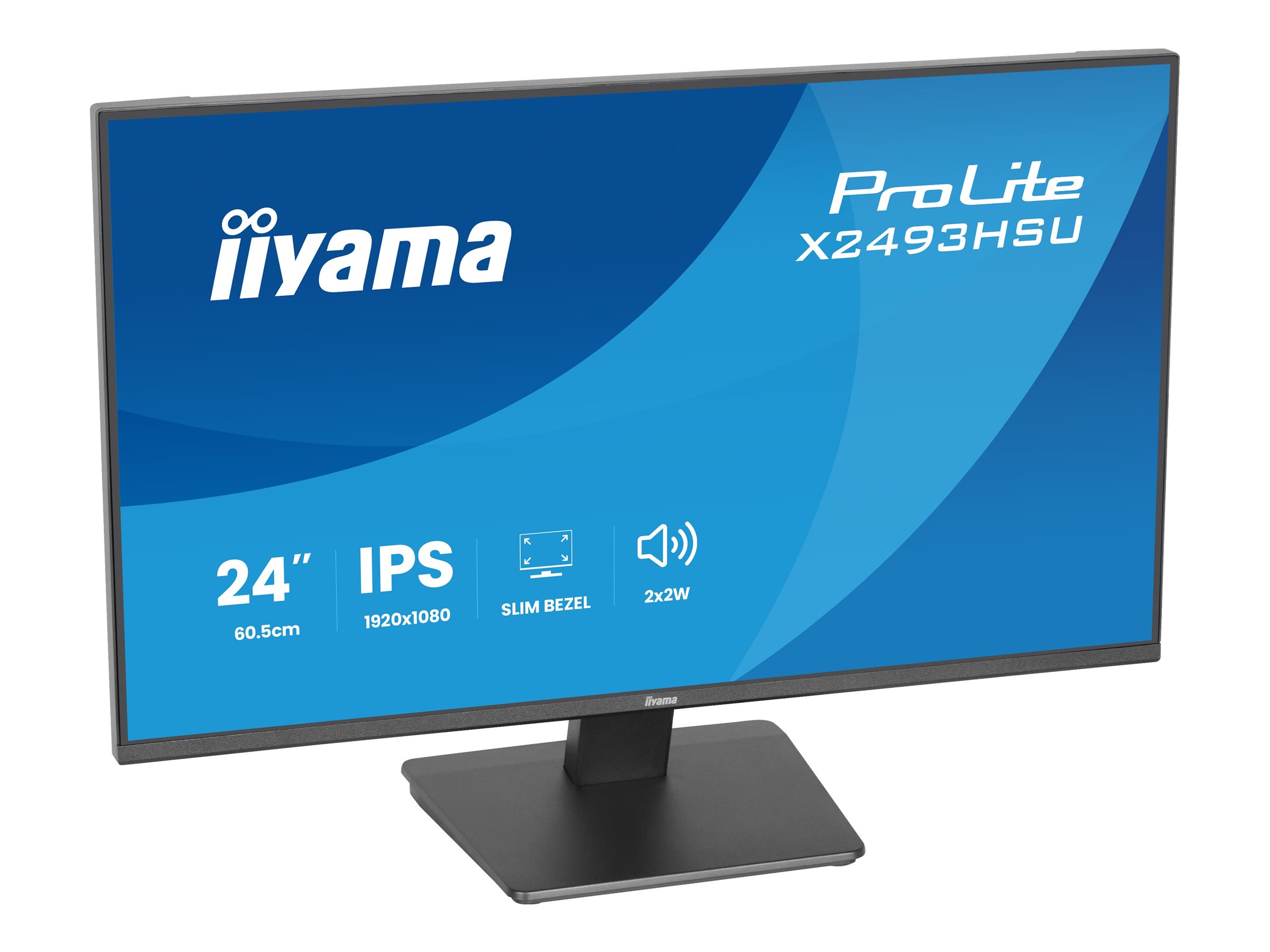 Iiyama ProLite X2493HSU-B1 - LED-Monitor - 61 cm (24")