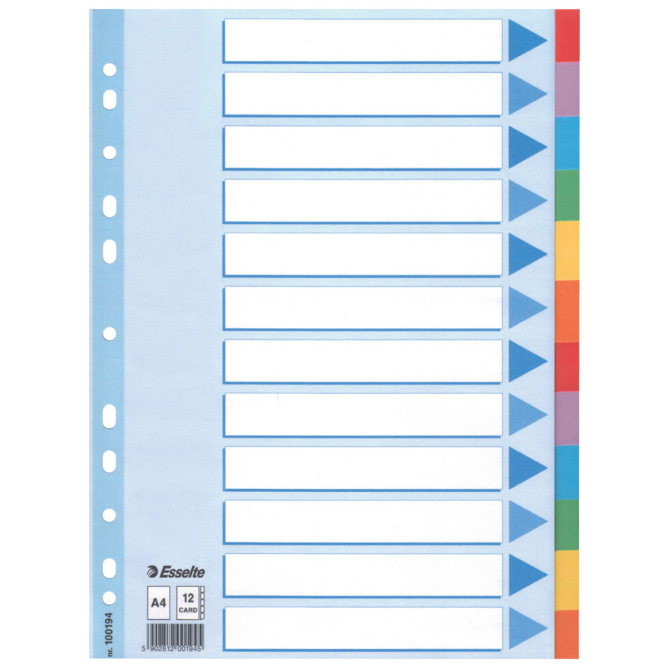 ESSELTE 100194 Karton fbg.Tabs