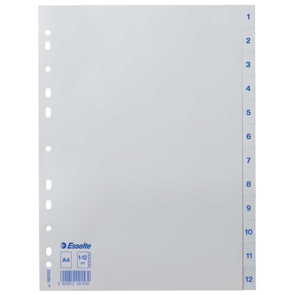 ESSELTE 100153 Plastik 12tlg.