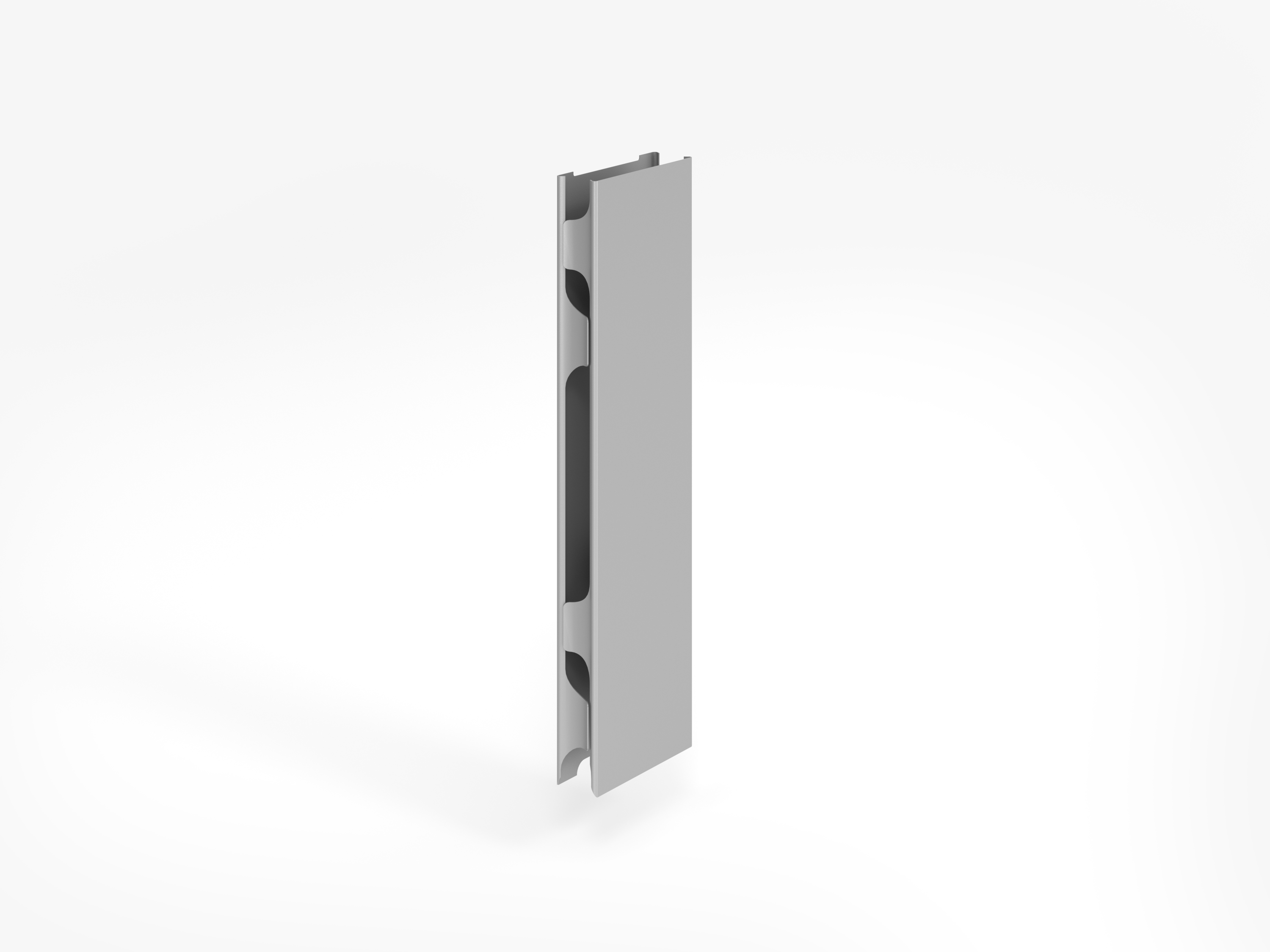 Seitenblenden ZSSB Silber