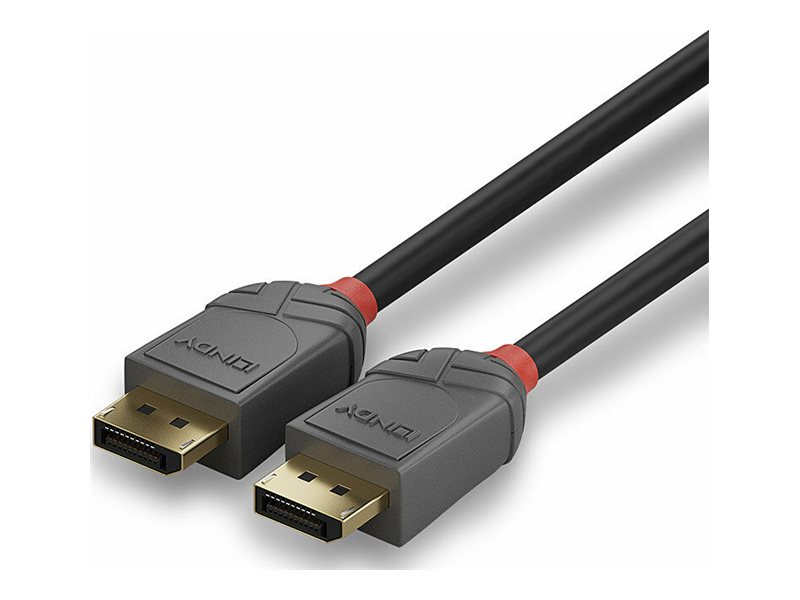 Lindy Anthra Line - DisplayPort-Kabel - DisplayPort (M)