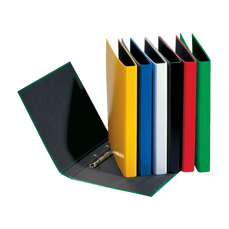 PAGNA 20607-00 2Ring sort.