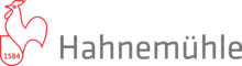 HAHNEMÜHLE 10621701