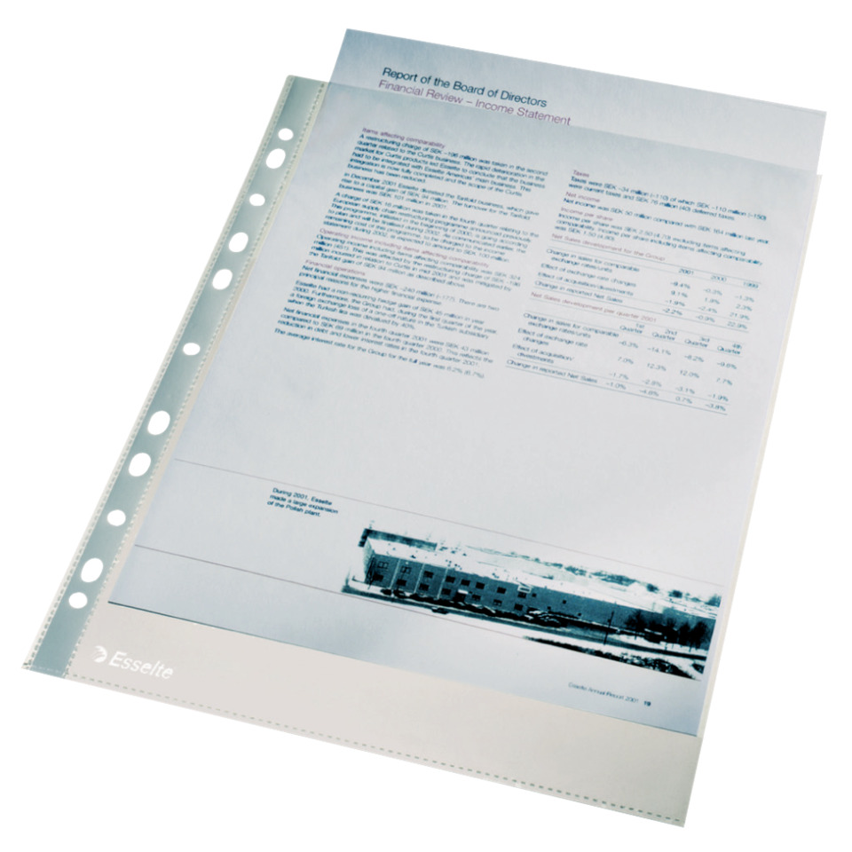 ESSELTE 13089 Economy 0,04mm