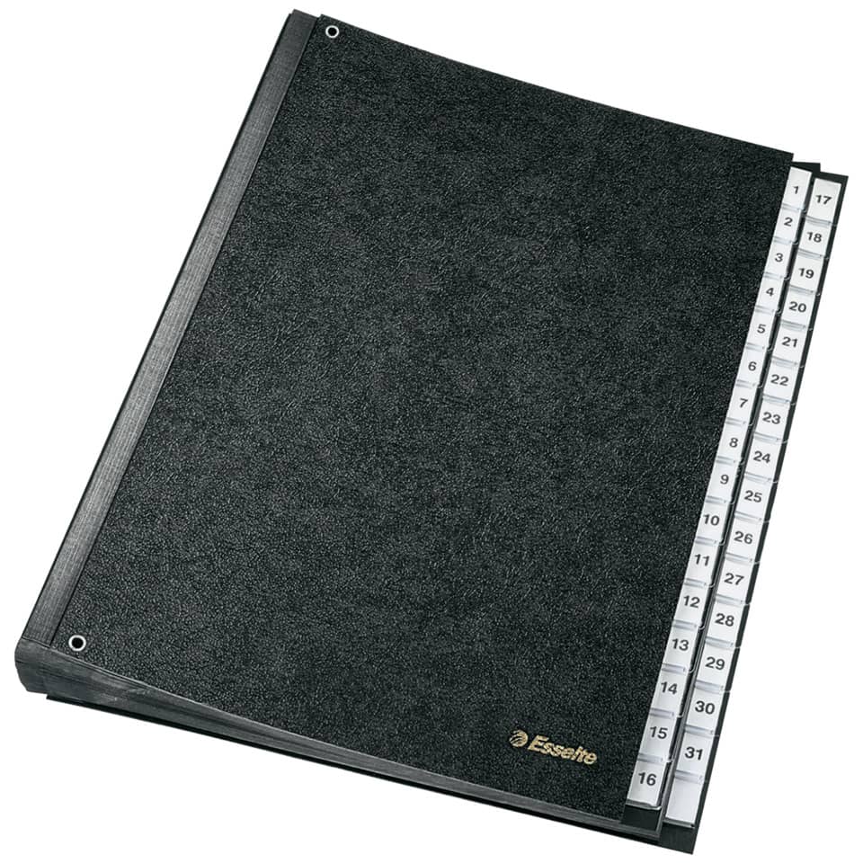 ESSELTE 1114119 32 Fächer Pappe