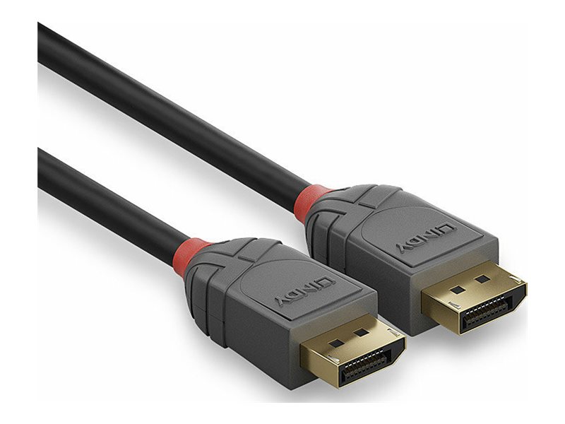 Lindy Anthra Line - DisplayPort-Kabel - DisplayPort (M)