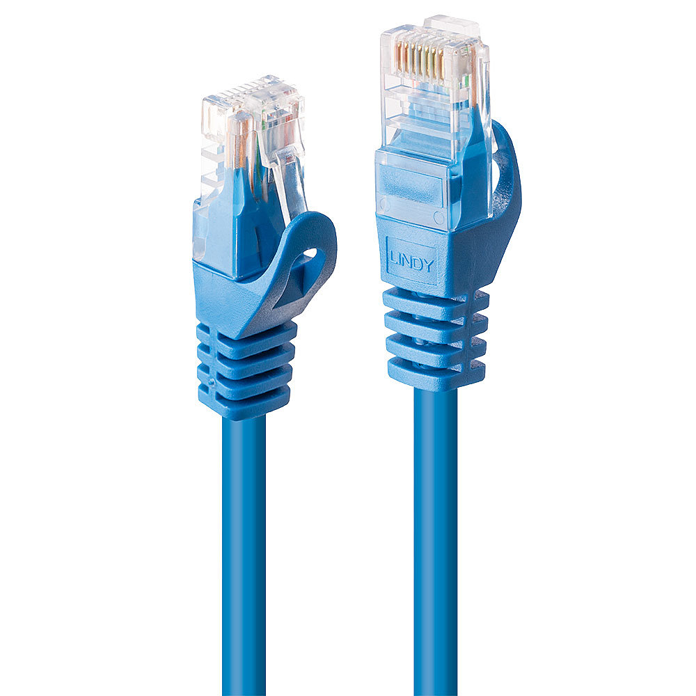 Lindy Basic - Patch-Kabel - RJ-45 (M) zu RJ-45 (M)