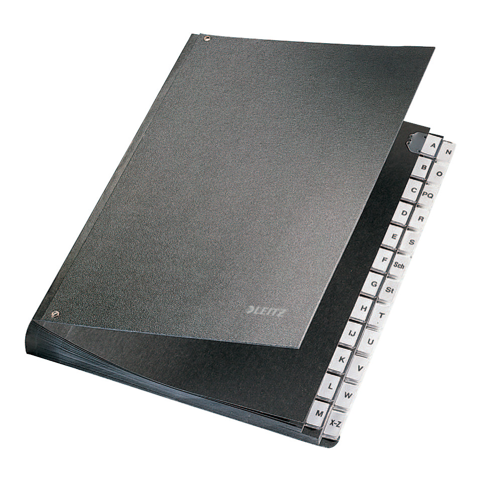LEITZ 58240095 24 Fächer Pappe