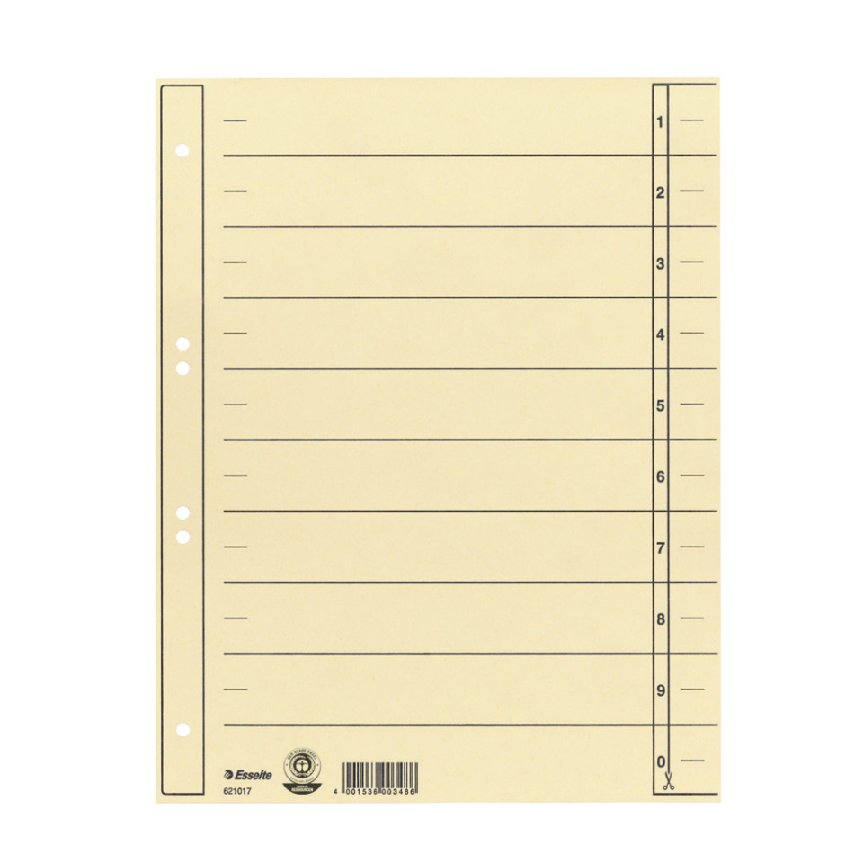 ESSELTE 621017 100ST